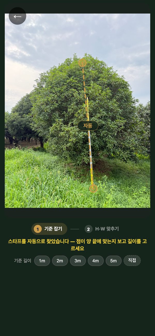 ① 기준 잡기 — 스타프 자동 찾기